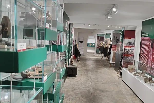 Adapazarı Ticaret Müzesi - Resim 6