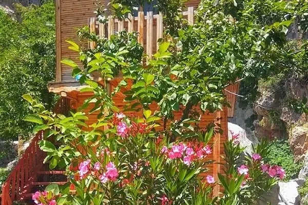 Çörekçi Pansiyon&amp;Restorant - Resim 20