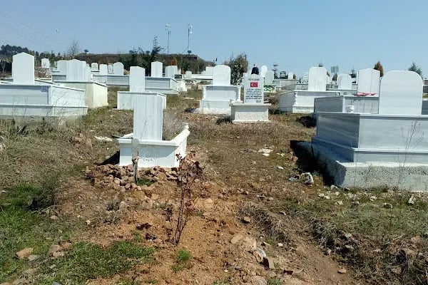 17 Ağustos Deprem Şehitliği - Resim 18