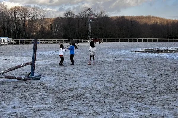At Köyü Binicilik Spor Kulübü - Resim 7