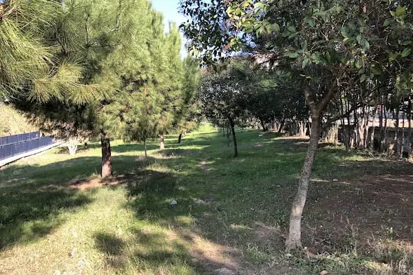 Hz. Osman Camii - Resim 6
