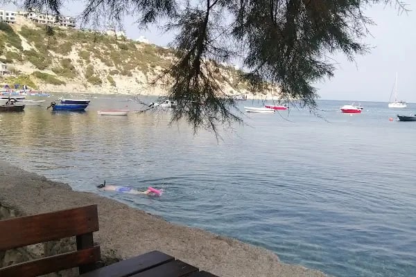 Mimoza Koyu Plajı - Resim 16