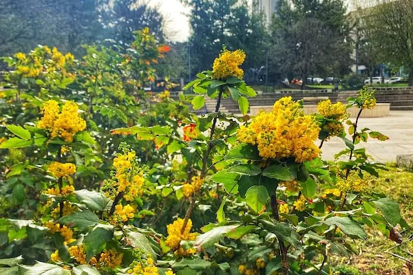 Milli Egemenlik Parkı Ankara - Resim 20