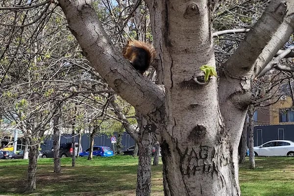 Milli Egemenlik Parkı Ankara - Resim 12