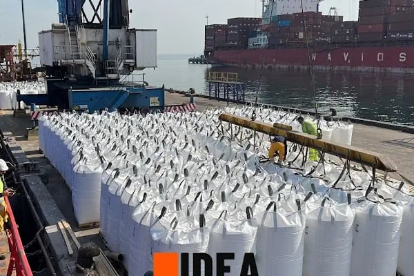IDEA LOGISTICS - Resim 12