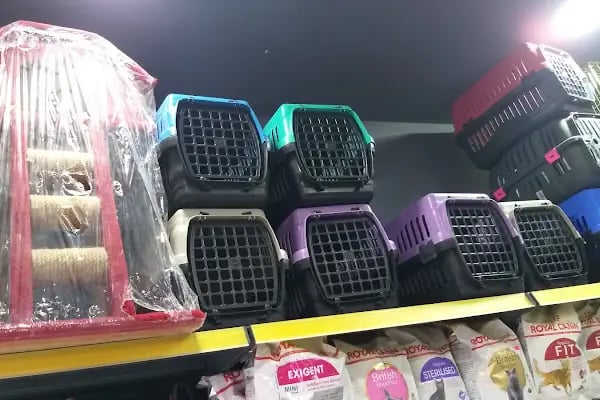 Petilya Pet Shop Ataşehir - Resim 11