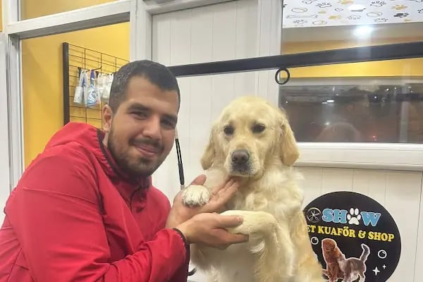 SHOW PET KUAFÖR | Anestezisiz Kedi ve Köpek traşı | - Resim 9