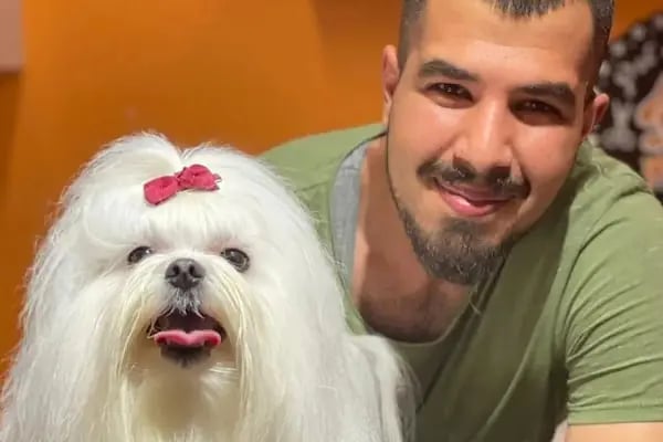 SHOW PET KUAFÖR | Anestezisiz Kedi ve Köpek traşı | - Resim 11