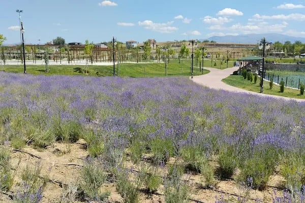 Kırkgöz Sahil Park - Resim 18