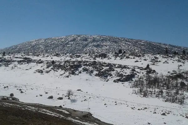 Ahırlı Belediyesi - Resim 8