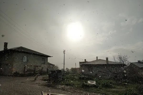 Ahırlı Belediyesi - Resim 12