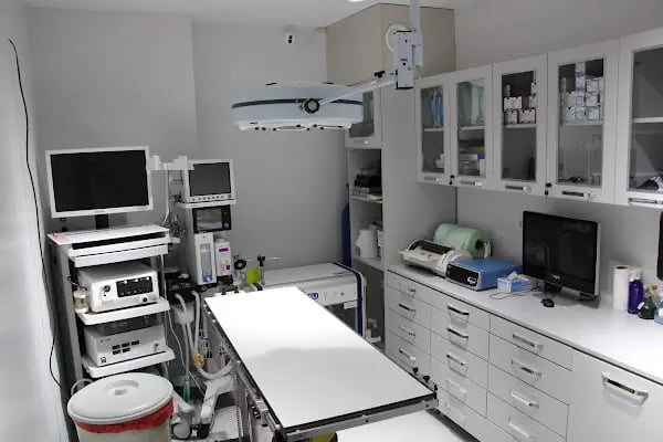 Akın Veteriner Kliniği - Resim 4