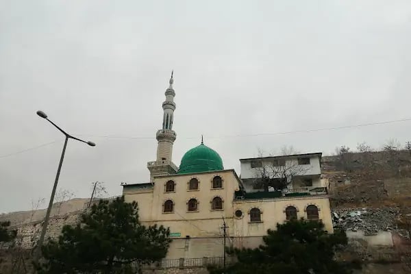 Bediüzzaman Said Nursi Camii - Resim 15