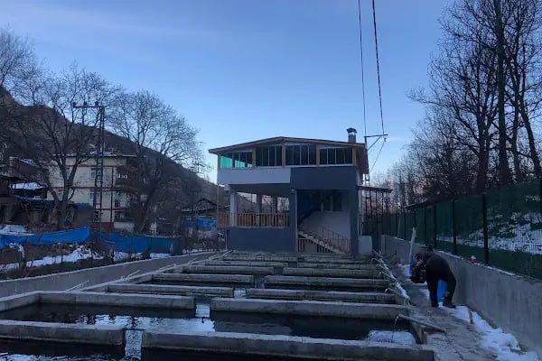 BAĞBAŞI ALABALIK TESİSİ VE RESTORANT - Resim 5