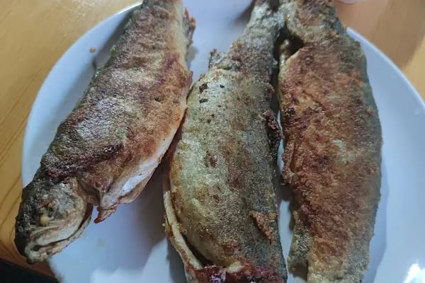 BAĞBAŞI ALABALIK TESİSİ VE RESTORANT - Resim 2