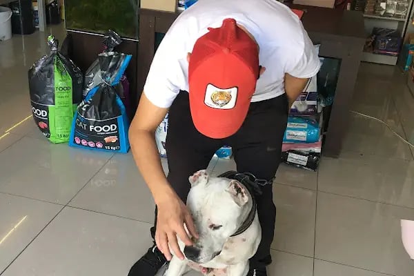 Selçuklu Petshop - Resim 1