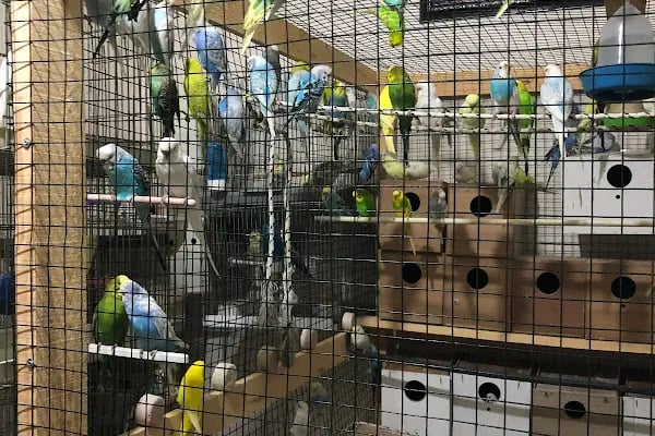 Selçuklu Petshop - Resim 11