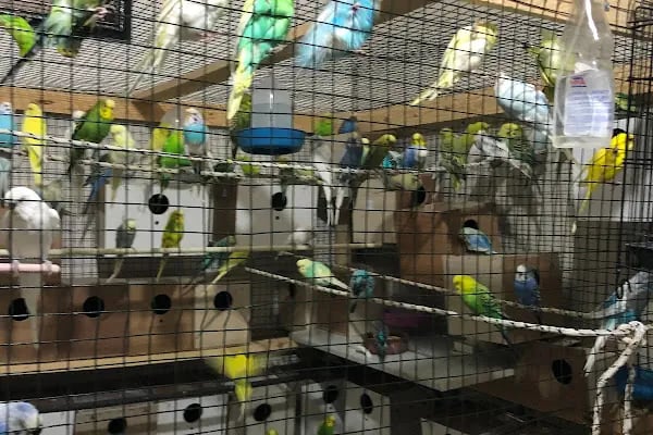Selçuklu Petshop - Resim 14