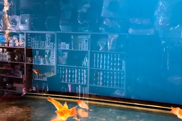 Selçuklu Petshop - Resim 16