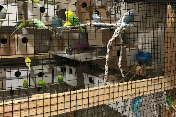 Selçuklu Petshop - Resim 5