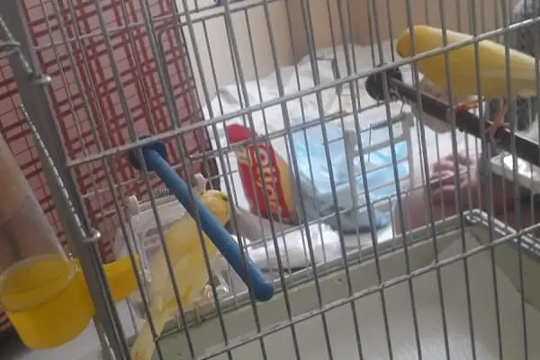Selçuklu Petshop - Resim 19