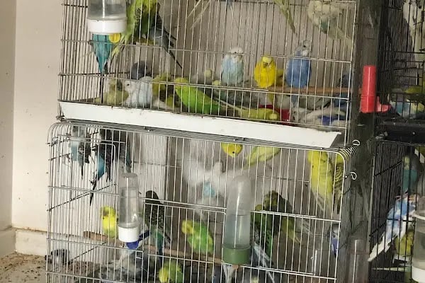 Selçuklu Petshop - Resim 10