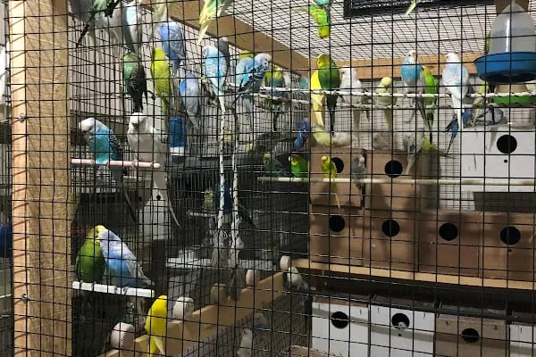 Selçuklu Petshop - Resim 8