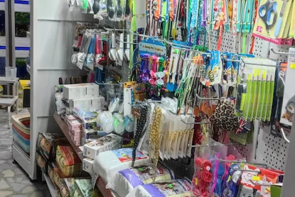 Mavi Petshop - Resim 16