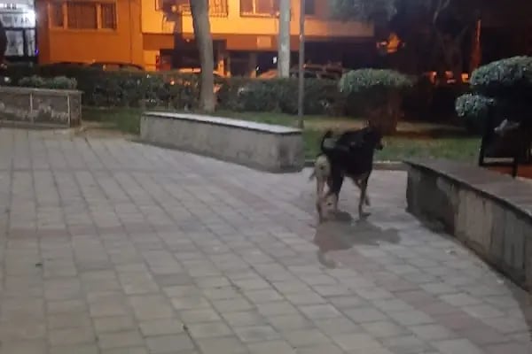 Konak Belediyesi Bahçelievler Metin Oktay Parkı - Resim 16