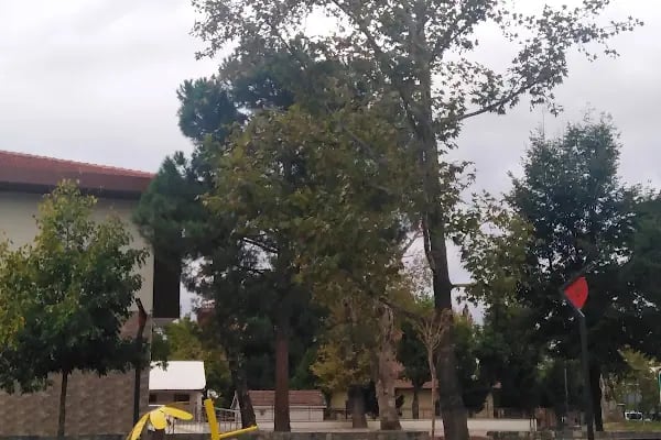 Foto Alp - Resim 20