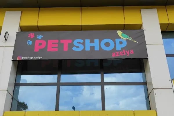 PETSHOP AZELYA - Resim 8
