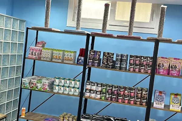 Tatlı Pet Shop - Resim 4