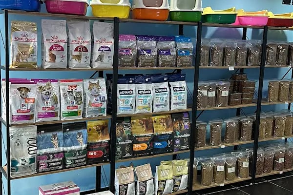 Tatlı Pet Shop - Resim 5