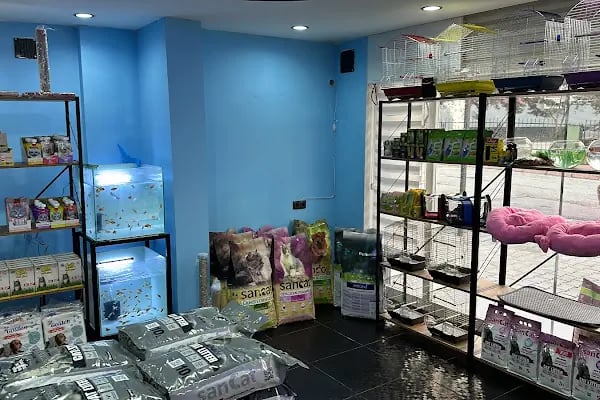 Tatlı Pet Shop - Resim 2