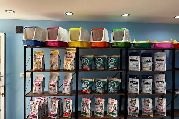 Tatlı Pet Shop - Resim 6