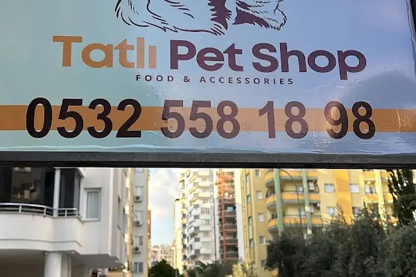 Tatlı Pet Shop - Resim 3