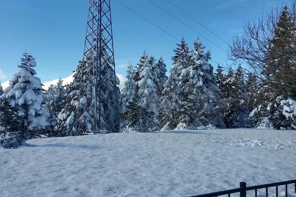 Sarıalan Teleferik İstasyonu - Resim 19