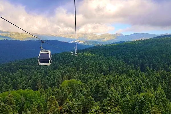 Sarıalan Teleferik İstasyonu - Resim 3