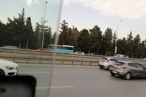 Avcılar Mezarlığı - Resim 19