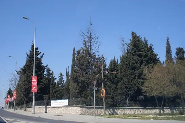 Avcılar Mezarlığı - Resim 4