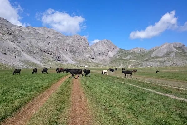 Gökbel Yaylası - Resim 20