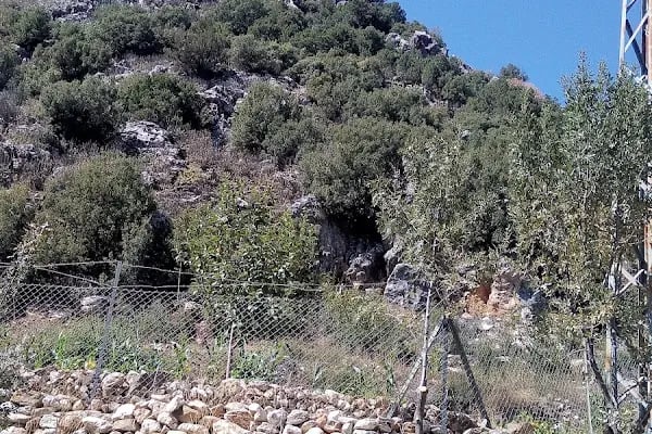 Termo Alcı Köyü - Resim 1