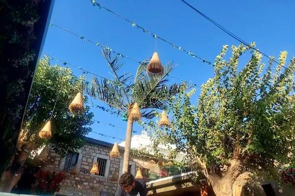 Dutt Bodrum - Resim 8