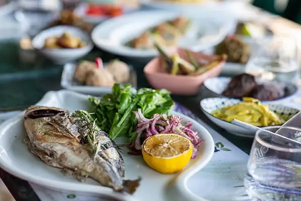Dutt Bodrum - Resim 3