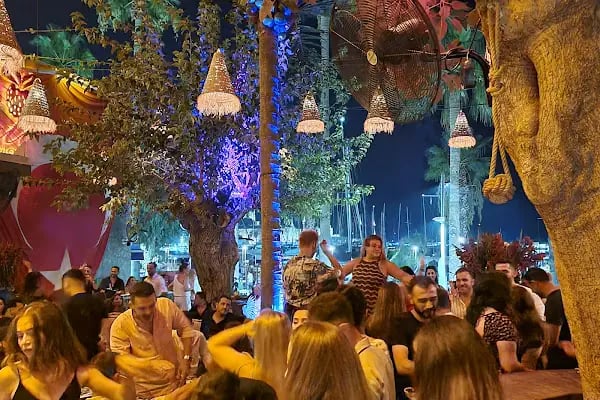 Dutt Bodrum - Resim 12