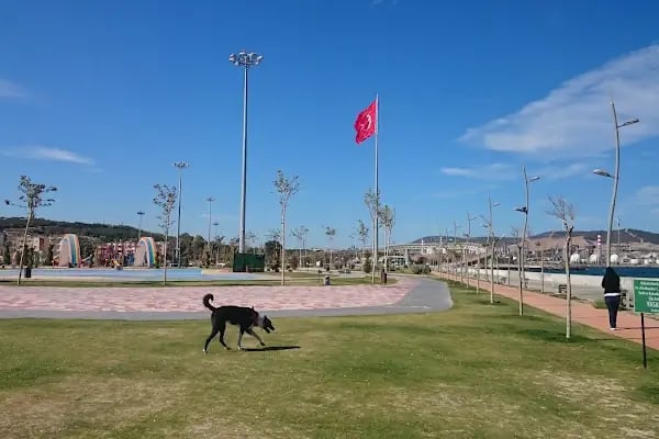 Çocuk Parkı - Resim 9