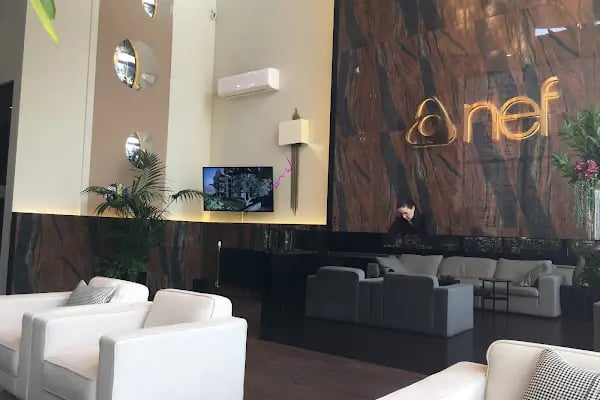 Nef Basın Ekspres 36 - Resim 20