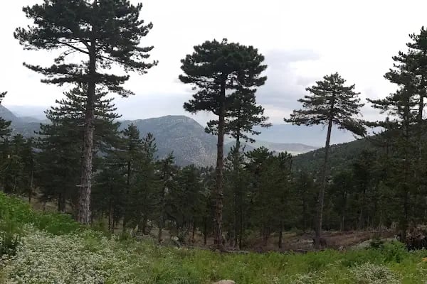 Seydişehir Gölü - Resim 17