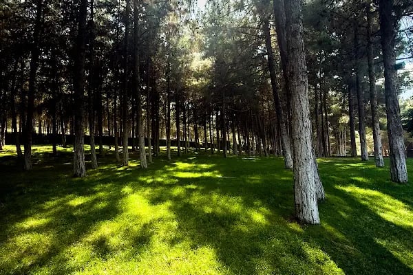 Erikçe Mutfak Sanatları Merkezi - Resim 13