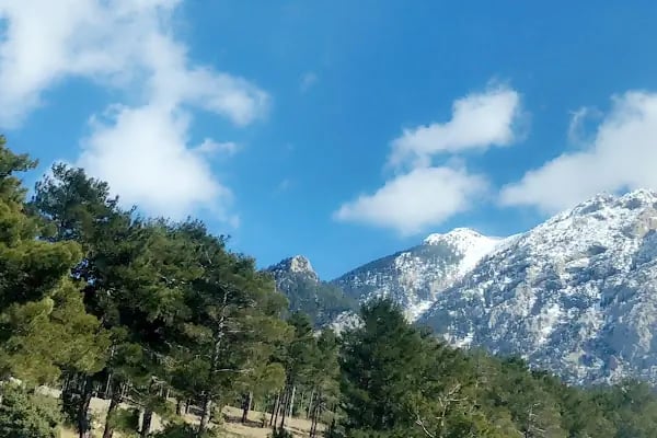 Otag Balo Salonu - Resim 4
